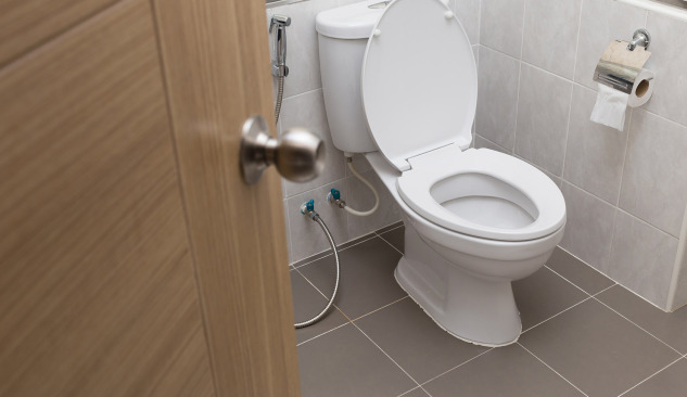 Kako pravilno odabrati WC kompakt?