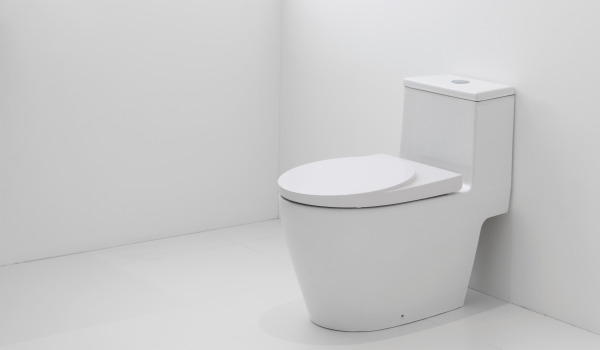 Kako prilagoditi WC školjku uređenju?