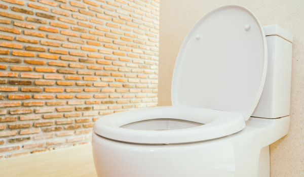 Što je podžbukni okvir za WC?