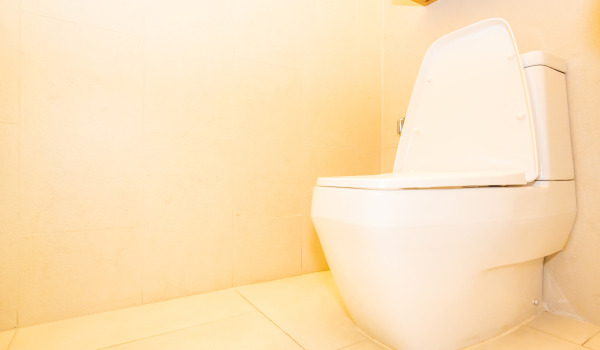 Koji podžbukni set za WC odabrati?